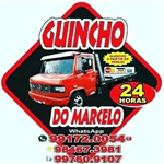 Guincho em Gravataí RS 